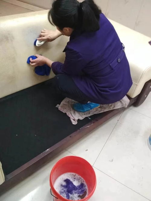 重慶專業(yè)清潔服務(wù) 日常保潔、開荒保潔與高層外墻清洗全方位指南