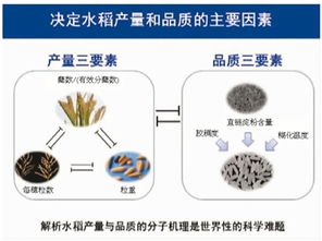 2017年度國家科技獎(jiǎng)勵(lì)大會(huì) 自然科學(xué)研究的新高度與時(shí)代使命
